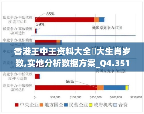 香港王中王资料大全枓大生肖岁数,实地分析数据方案_Q4.351