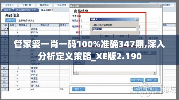 管家婆一肖一码100%准确347期,深入分析定义策略_XE版2.190