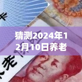 揭秘养老金双轨制改革最新动态，展望2024年12月10日的改革进展与小店的背后故事