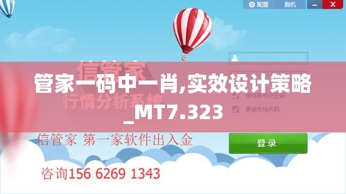 管家一码中一肖,实效设计策略_MT7.323