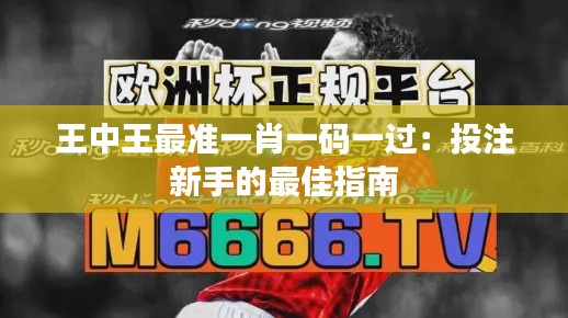 王中王最准一肖一码一过：投注新手的最佳指南