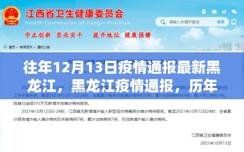 黑龙江历年十二月十三日疫情通报回顾与深度影响分析，最新动态与趋势展望