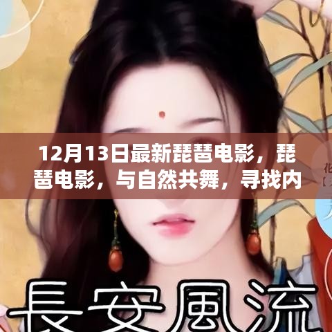 12月最新琵琶电影，与自然共舞，探寻内心宁静之地