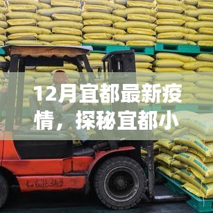 宜都疫情下的隐秘美食宝藏，小巷深处的独特风味探索