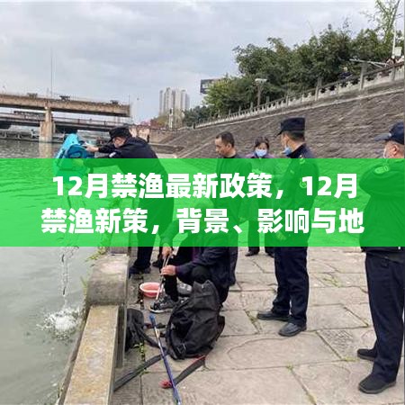 百鸟归巢 第3页