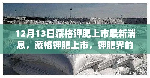 手不释卷 第3页