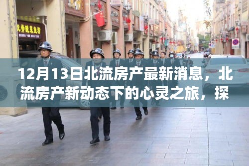 北流房产新动态，探寻自然美景的心灵之旅与内心平静的艺术之旅（12月13日最新消息）