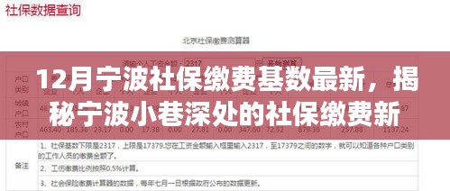 揭秘宁波社保缴费新篇章，特色小店背后的探索之旅与最新缴费基数发布