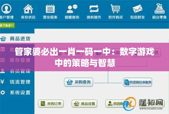 管家婆必出一肖一码一中：数字游戏中的策略与智慧