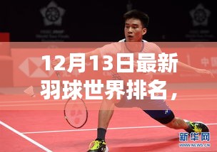 揭秘全球羽球热潮背后的最新世界排名榜单（12月13日更新）