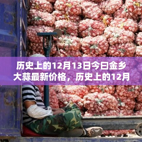 历史上的12月13日与今日金乡大蒜价格详解，最新行情及查询方法指南