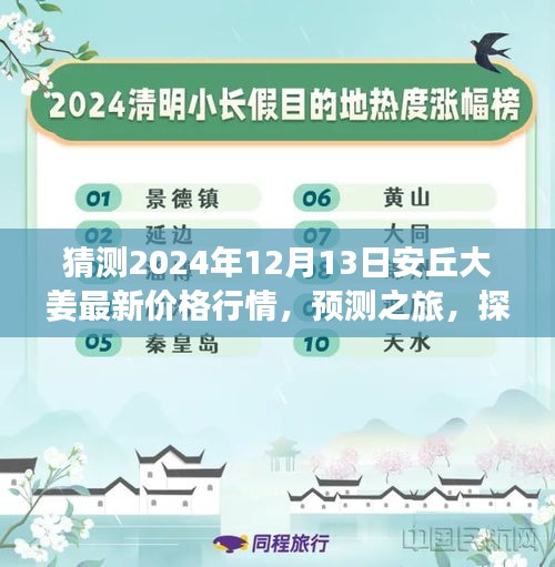 探索之旅，预测安丘大姜在2024年12月13日的最新价格行情