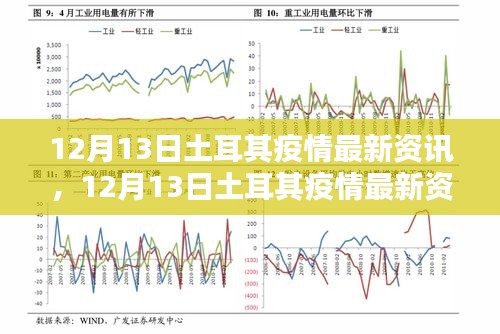 12月13日土耳其疫情最新资讯解析与防疫指南