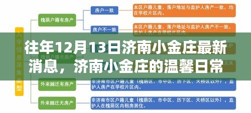济南小金庄，温馨日常与奇遇的情感纽带——12月13日最新消息