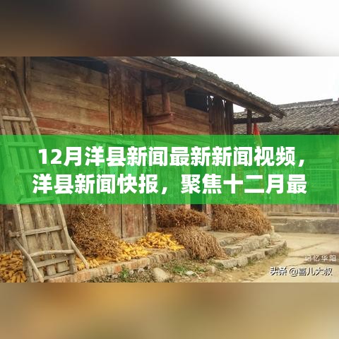 洋县新闻快报聚焦十二月最新动态视频报道