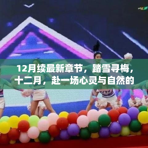 踏雪寻梅，十二月心灵与自然的美妙之旅最新章节