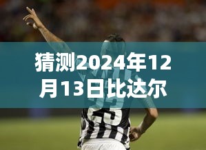 比达尔转会动态追踪，预测与关注2024年12月13日最新转会信息的指南