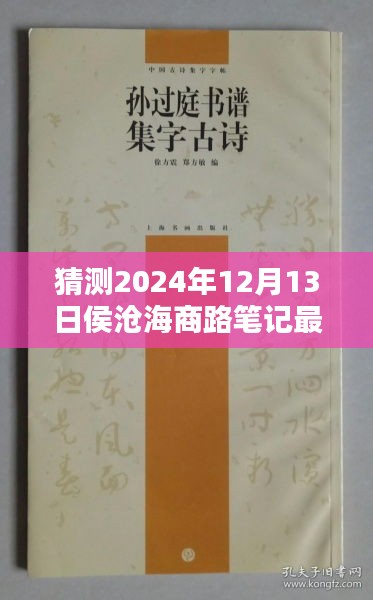 侯沧海商路笔记探秘，巷弄深处的隐藏宝藏与特色小店的奇遇（最新更新预测）
