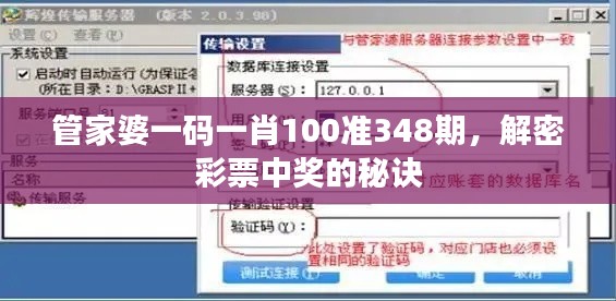 管家婆一码一肖100准348期，解密彩票中奖的秘诀