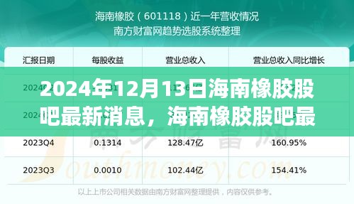 海南橡胶股吧最新消息聚焦，2024年12月13日要点解析