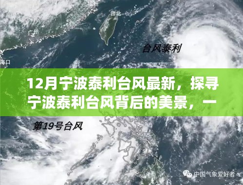 探寻宁波泰利台风背后的美景，远离尘嚣的心灵之旅（最新更新）