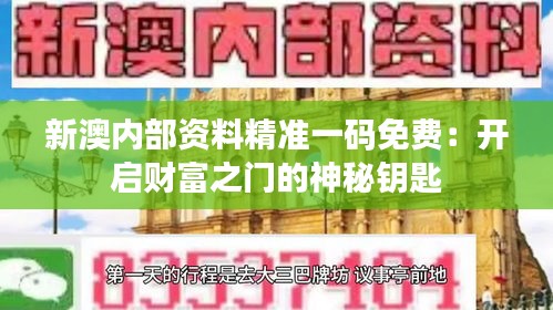 新澳内部资料精准一码免费：开启财富之门的神秘钥匙