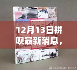 拼呗最新动态深度解析与升级评测，12月13日全新升级消息一览