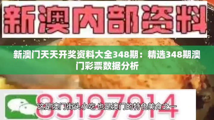 新澳门天天开奖资料大全348期：精选348期澳门彩票数据分析