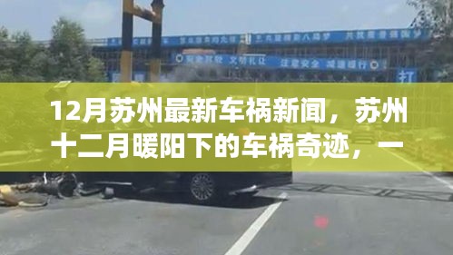 苏州车祸新闻揭秘，十二月暖阳下的奇迹与心灵之旅的反思