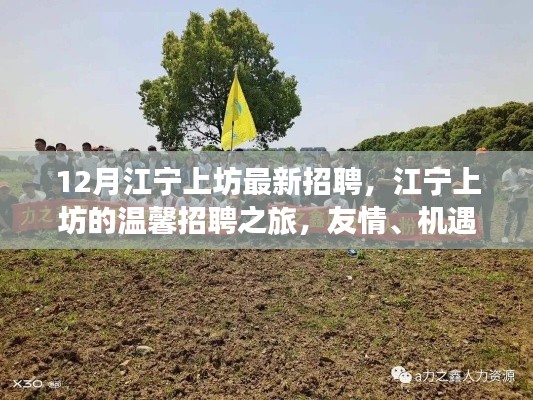 江宁上坊最新招聘启事，温馨之旅，友情、机遇与家的温暖