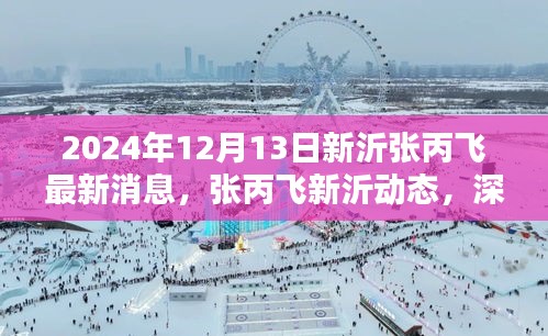 2024年张丙飞新沂最新动态与深度解析，产品与用户群体分析