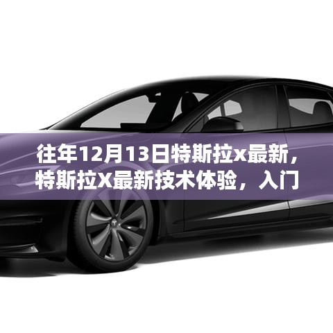 特斯拉X最新技术体验详解，入门指南与步骤（初学者与进阶用户必读）