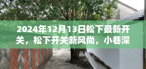 2024年12月13日松下最新开关，松下开关新风尚，小巷深处的隐藏宝藏探秘