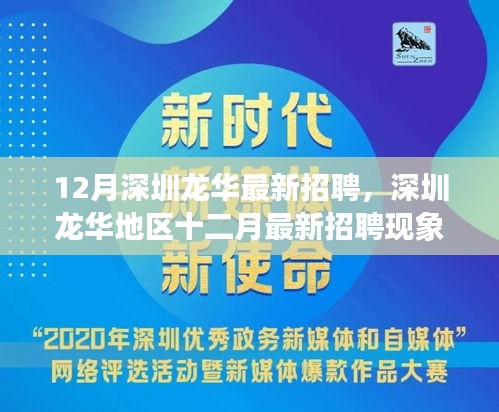 深圳龙华地区十二月最新招聘现象深度探析，多元观点下的观察与探析