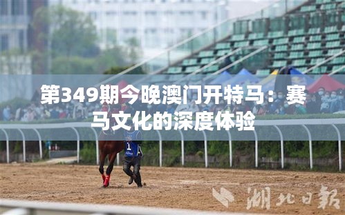 第349期今晚澳门开特马：赛马文化的深度体验