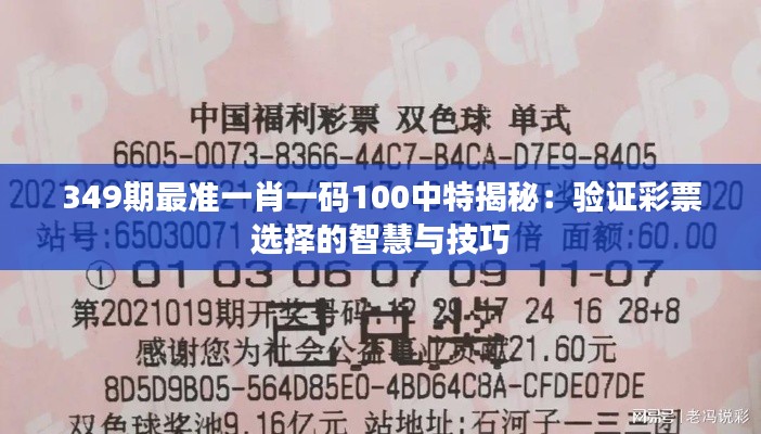 349期最准一肖一码100中特揭秘：验证彩票选择的智慧与技巧