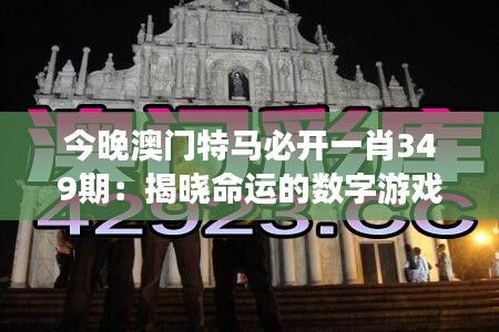 今晚澳门特马必开一肖349期：揭晓命运的数字游戏