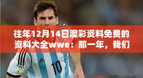 往年12月14日澳彩资料免费的资料大全wwe：那一年，我们共同的期待