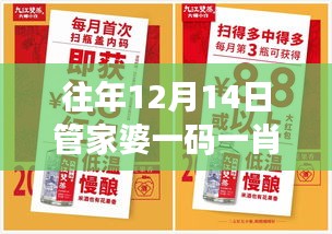 往年12月14日管家婆一码一肖100中奖：难忘的幸运日，难以复制的辉煌