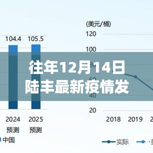 陆丰最新疫情发布深度解读与观点阐述，历年12月14日最新消息回顾