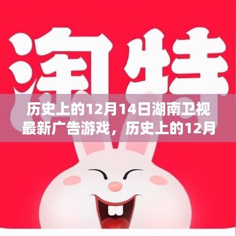 历史上的12月14日湖南卫视最新广告游戏，深度解析与观点阐述