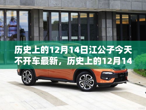 历史上的12月14日与江公子今天不开车的深度探索与评测介绍