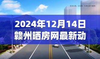 赣州晒房网最新动态揭秘，市场走向与观点碰撞在2024年12月14日