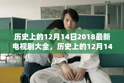 历史上的12月14日与电视剧发展，深度解析2018年电视剧大全