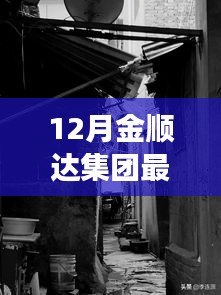 揭秘金顺达集团最新动态，特色小店与环境魅力背后的故事（十二月更新）