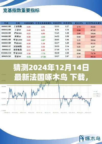 2024年法国啄木鸟软件下载与体验解析，最新评测报告