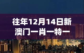 往年12月14日新澳门一肖一特一中：澳门旅游亮点的独特景色