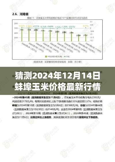 蚌埠玉米价格预测，智能系统领航未来行情，揭秘2024年最新行情趋势