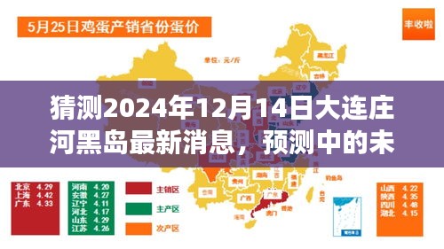 2024年大连庄河黑岛最新动态展望，未来预测与消息猜测