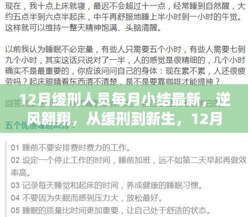 逆风翱翔，从缓刑到新生——12月缓刑人员的月度成长之路